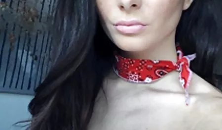 حومه ژاپنی بازی سکشی